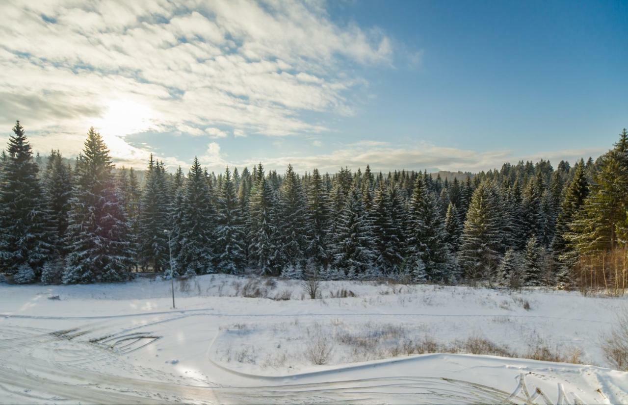 Silver Mountain 3 Bedroom Apartment Poiana Brasov Εξωτερικό φωτογραφία